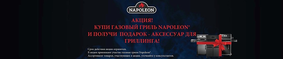 Газовые грили Napoleon в Челябинске